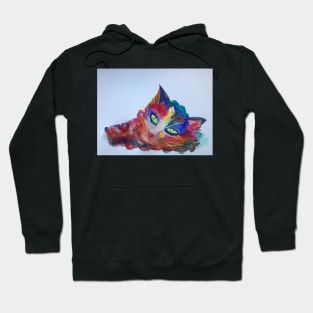 Colourful Kitty Cat Hoodie